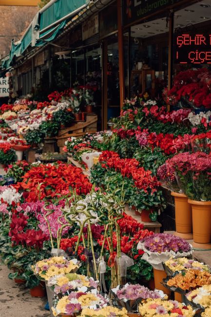 An outdoor flower stall displaying a vibrant array of fresh floral arrangements with various flowering plants including pink, red, and purple blooms, arranged in pots and containers. The flowers featu