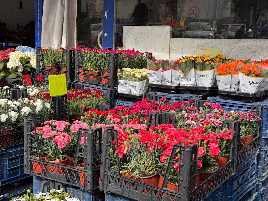 A display of vibrant potted carnations in shades of pink, red, white, orange, and yellow arranged in black plastic crates outside a flower shop. The flowers are fresh, with delicate petals and green s
