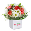 Lively and bursting with colour, this Wood Green bouquet gathers spring's exuberance into a single composition, presented upright in a crisp white gift bag that echoes the modern charm of homes near Alexandra Park. Generous coral and red carnations, each petal finely frilled, bring a warmth that feels both familiar and uplifting-just the thing for marking a birthday or sharing a caring thought. Nestled alongside, white daisies with golden-green eyes catch the light with a joyful gleam, their presence like a promise of brighter days ahead for anyone in Wood Green. Wispy clouds of baby's breath are scattered throughout, their delicate blossoms introducing a sense of softness and gentle innocence. Peeking from the side, purple-tinged buds hint at the surprises that await with every flower delivery. Encased in a lush fan of deep green, glossy foliage, the bouquet's rounded form conveys abundance, artistry, and the soothing peace of local parkland. Set against a pristine white background, this arrangement radiates sincerity and optimism-every flower and leaf a testament to the care and creativity of Wood Green's expert florists.