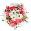 A celebration of spring's radiant charm, this bouquet, beautifully arranged by Wood Green's skilled florists, captures the essence of joy and renewal that flows through local community gardens. At its heart, pristine white daisies with golden-green centers are enfolded by soft clouds of coral-pink carnations, their petals richly ruffled and plush to the eye. Twining throughout are sprigs of gypsophila, their tiny blooms evoking the gentle sparkle of early summer sunlight streaming through the trees at Alexandra Park. Subtle touches of blush-hued alstroemeria buds and fragrant eucalyptus leaves provide a sensory harmony, merging sweet floral tones with cool, verdant undertones. Framed by varying shades of green foliage, the bouquet's circular design feels both tranquil and exuberant, perfect for commemorating life's happiest occasions-a birthday, a word of encouragement, or a simple gesture to brighten someone's day in Wood Green. Every detail of this arrangement reflects the dedication and creativity at the heart of the local florist community.